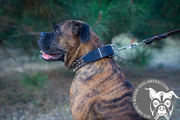 Boxer leather collar adjustable  with handset decoration for any activity