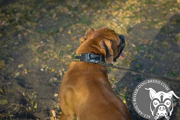 Boxer black leather collar wide with nickel plated hardware for improved control