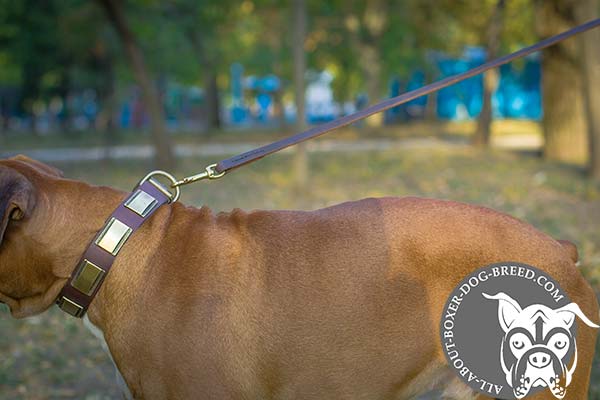 Boxer leather collar of genuine materials with d-ring for leash attachment for professional use