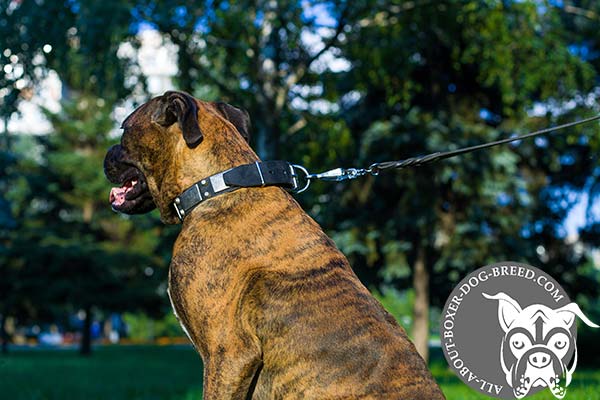 Boxer black leather collar adjustable  with nickel plated hardware for better comfort