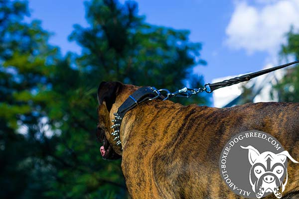 Boxer black leather collar easy-to-adjust with traditional buckle for any activity