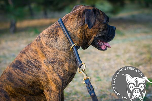 Boxer leather collar of genuine materials with nickel plated hardware for professional use