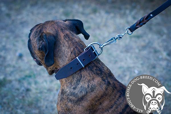Boxer leather collar easy-to-adjust with nickel plated hardware for any activity
