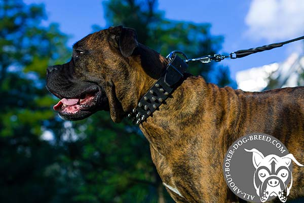 Boxer leather collar easy-to-adjust with handset decoration for any activity