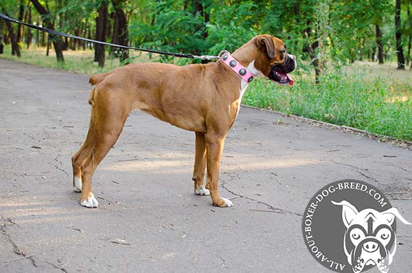 Boxer pink leather collar adjustable  with handset adornment for walking in style