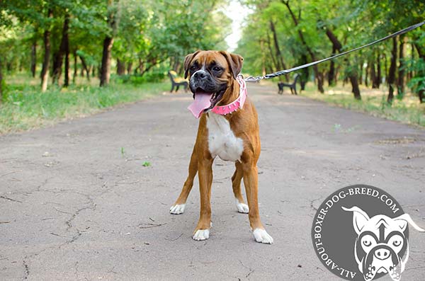 Boxer pink leather collar of genuine materials with handset adornment for daily walks