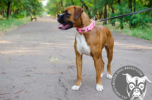 Boxer pink leather collar adjustable  with handset adornment for daily walks