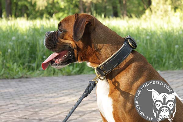 Boxer black leather collar Nappa padded with brass plated hardware for better comfort