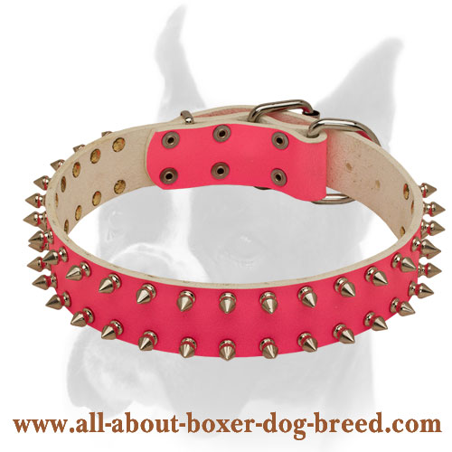 Fancy pink Leather Collar