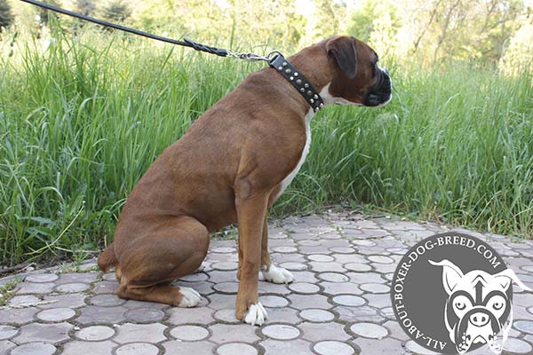 Boxer leather collar of genuine materials decorated with cones for stylish walks