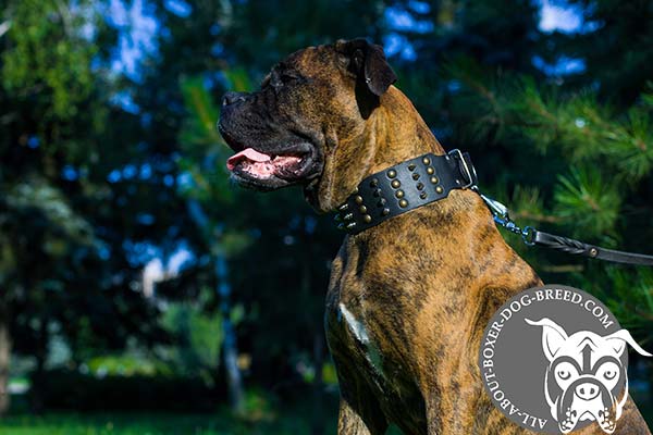 Boxer black leather collar with non-corrosive nickel plated hardware for improved control