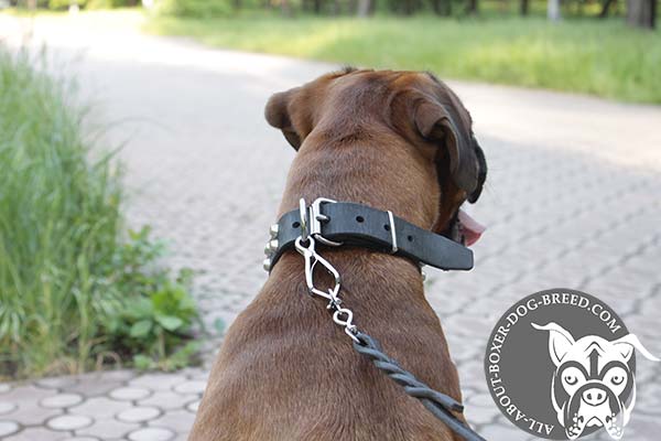 Boxer black leather collar with durable nickel plated hardware for daily activity