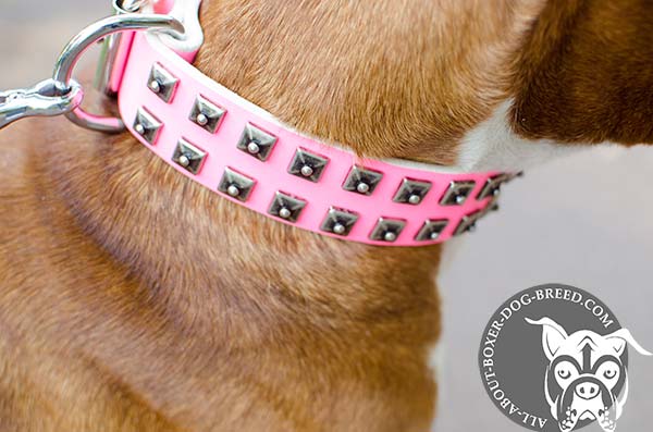 Boxer pink leather collar of high quality with handset studs for walking
