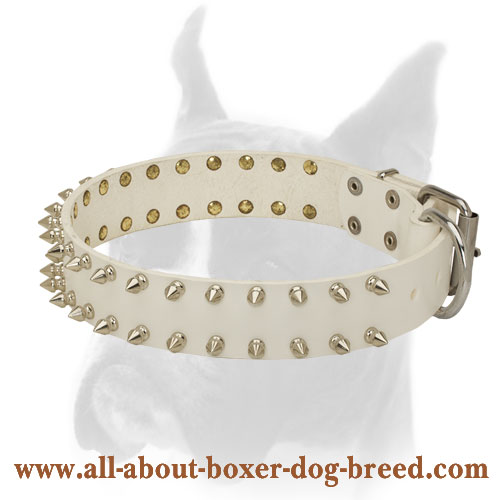 Fancy pink Leather Collar