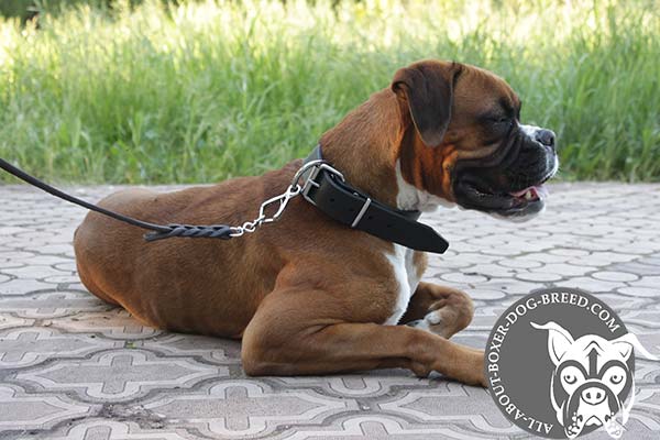 Boxer black leather collar of genuine materials with nickel plated hardware for any activity
