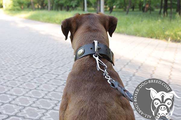 Boxer black leather collar extra wide with riveted fittings   for daily activity