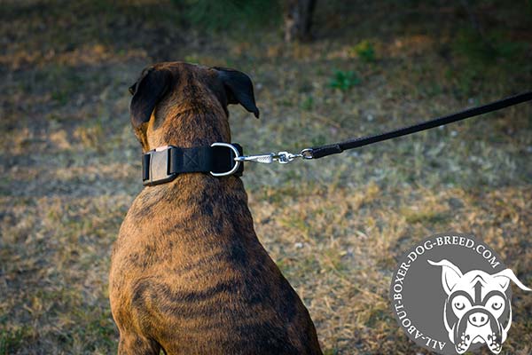 Boxer nylon collar with strong quick release buckle for perfect control