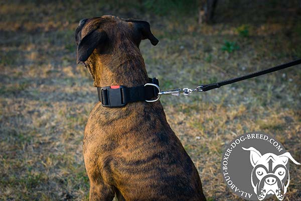 Boxer nylon collar easy-to-adjust with nickel plated hardware for any activity