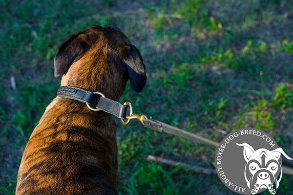 Well Stitched Leather Boxer Choke Collar