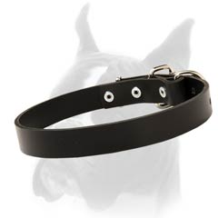 Glossy black Leather Collar