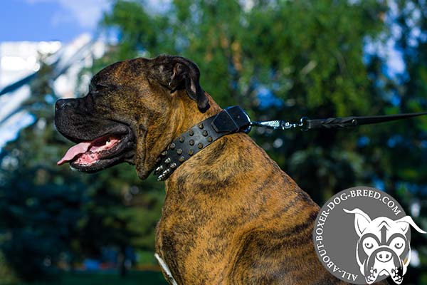 Strong Adjustable Leather Collar for Boxer 