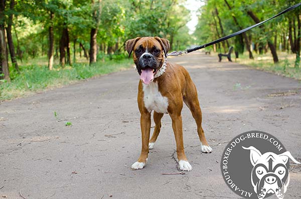 Durable Leather Collar for Boxer