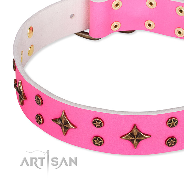 Full grain natural leather dog collar with remarkable embellishments