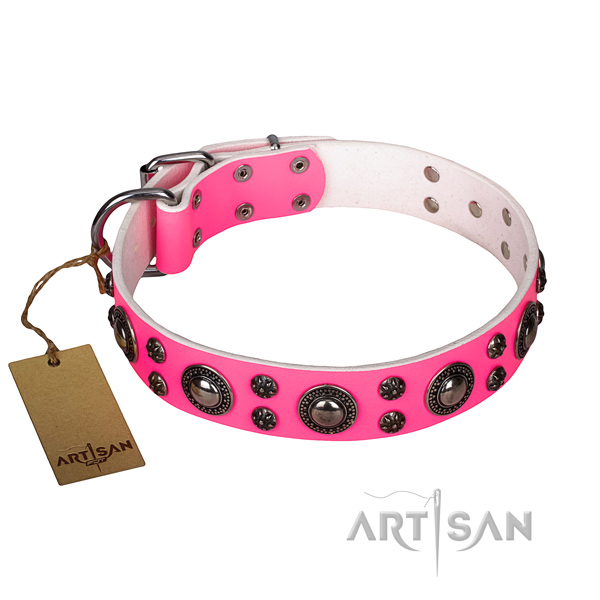 Extraordinary full grain leather dog collar for handy use