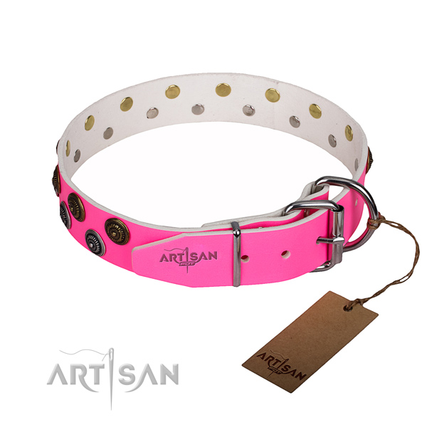 Everyday use leather collar with adornments for your doggie