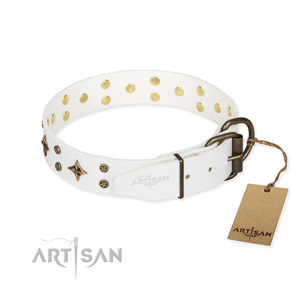 Stylish walking full grain natural leather collar with decorations for your dog