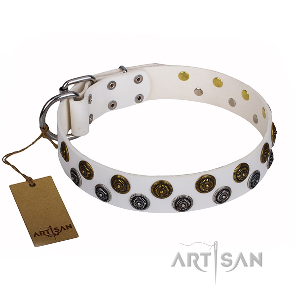 Amazing genuine leather dog collar for daily walking