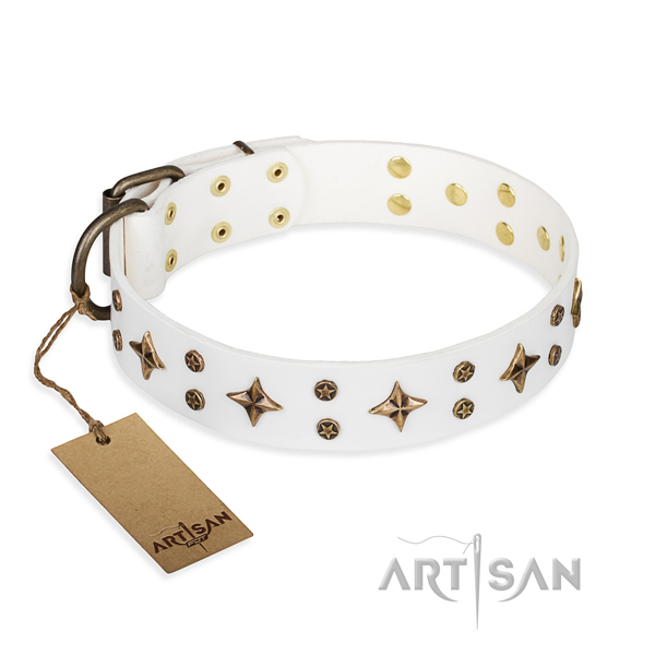 Fashionable full grain natural leather dog collar for daily walking