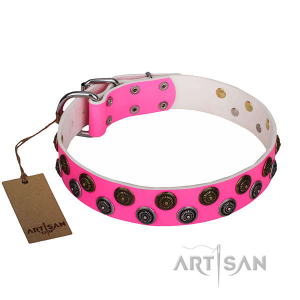 Impressive full grain leather dog collar for daily walking