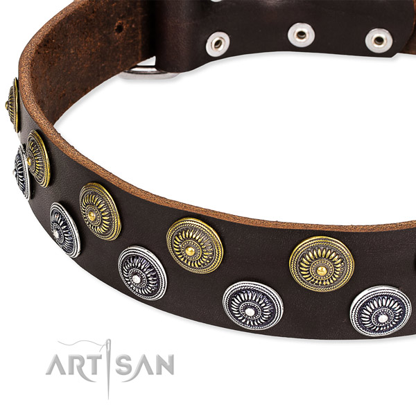 Genuine leather dog collar with amazing adornments