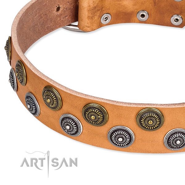 Genuine leather dog collar with amazing adornments