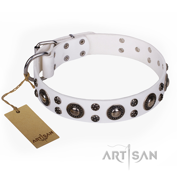 Unusual leather dog collar for stylish walking
