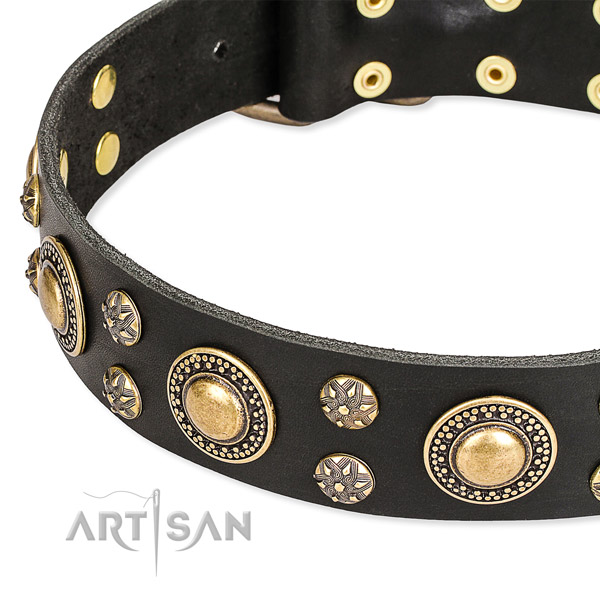 Walking full grain natural leather collar with corrosion proof buckle and D-ring
