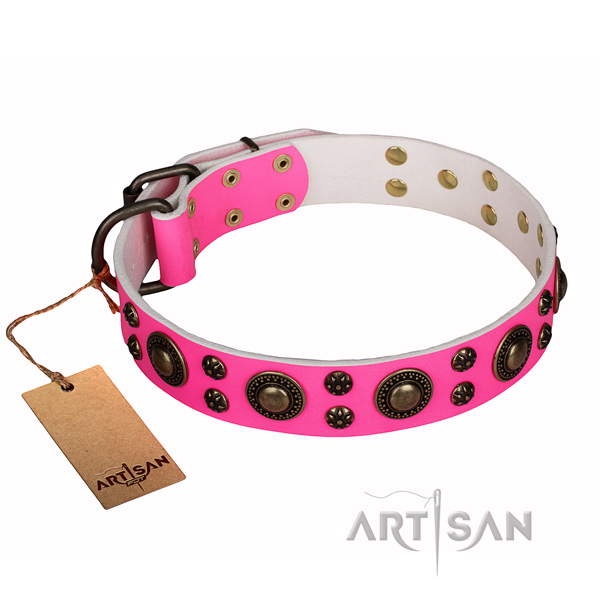 Walking natural genuine leather collar with adornments for your canine