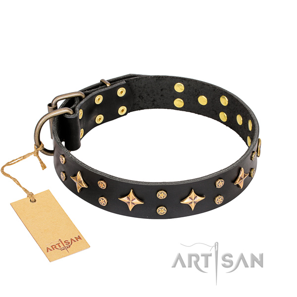 Extraordinary full grain leather dog collar for daily walking