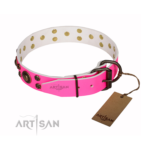 Amazing leather dog collar for daily walking