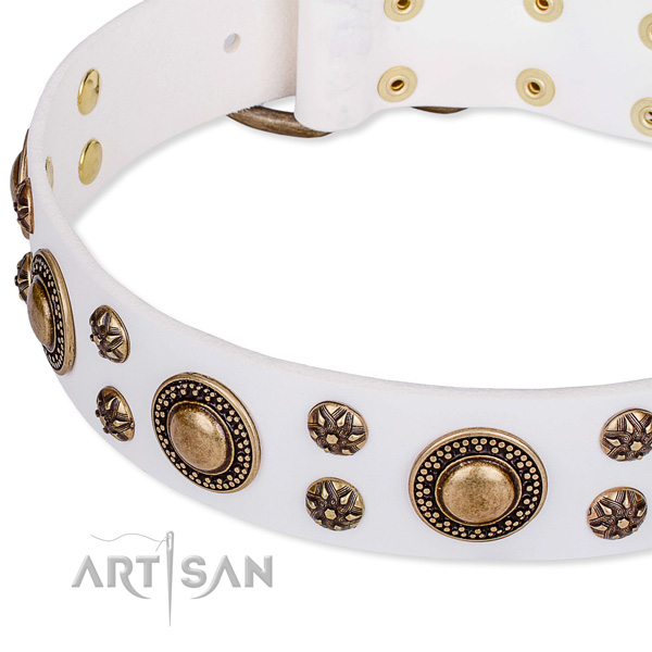 Natural genuine leather dog collar with incredible studs