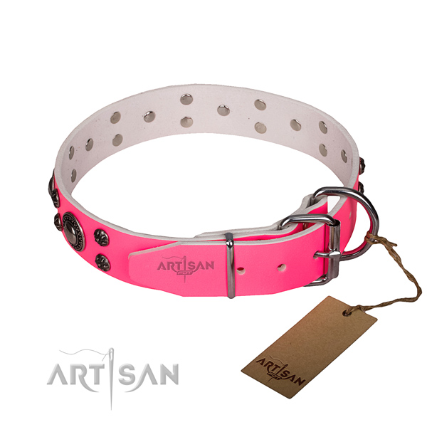 Daily walking leather collar with rust resistant buckle and D-ring