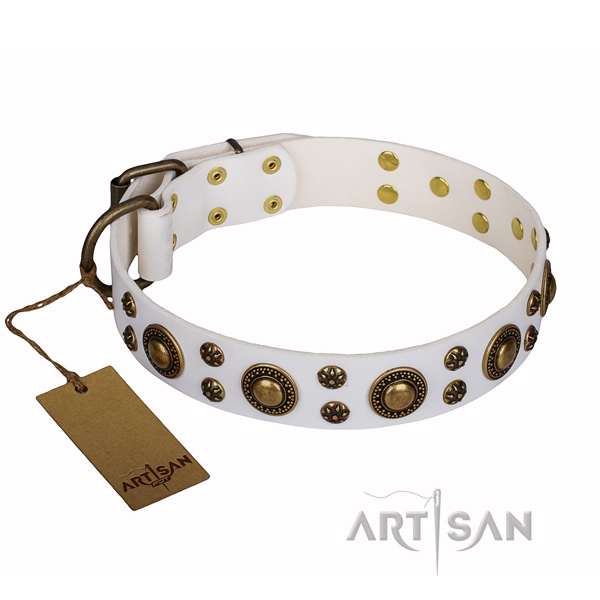 Daily use genuine leather collar with adornments for your pet