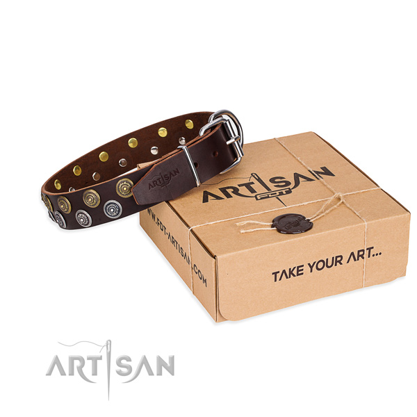 Full grain natural leather dog collar with embellishments for daily use