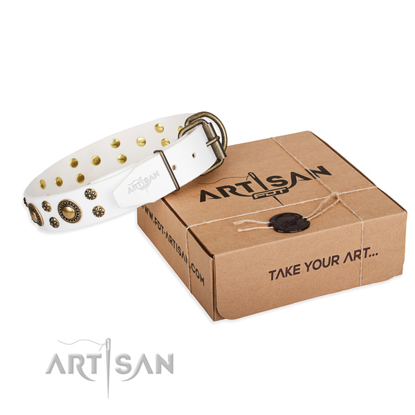 Leather dog collar with decorations for everyday walking