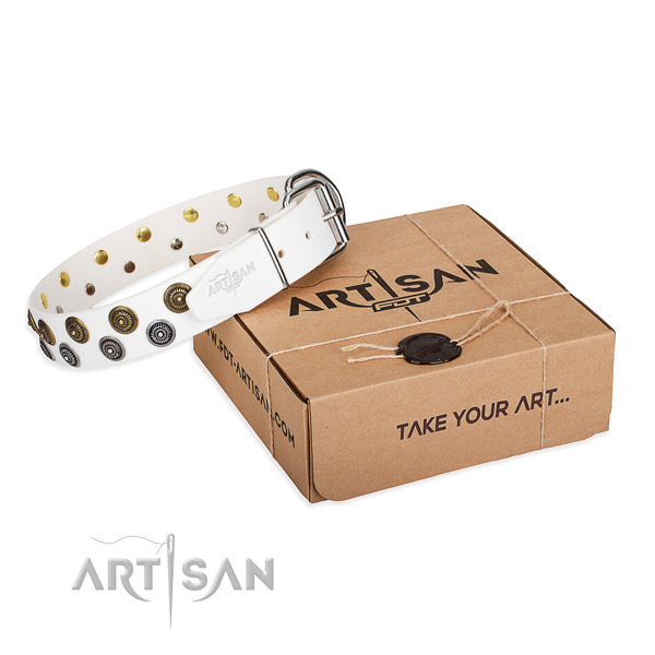 Full grain genuine leather dog collar with embellishments for daily walking