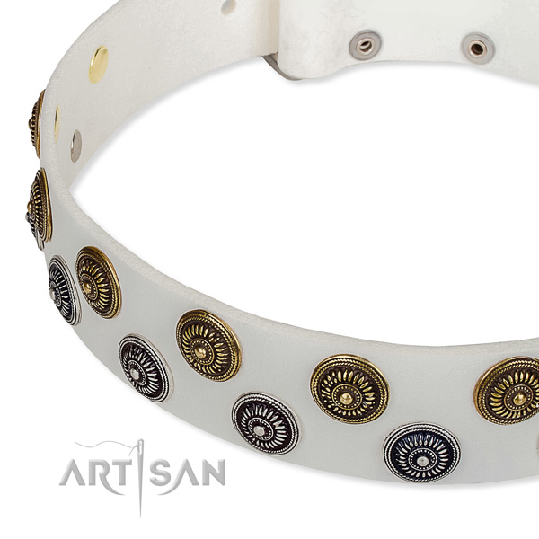Genuine leather dog collar with stunning studs