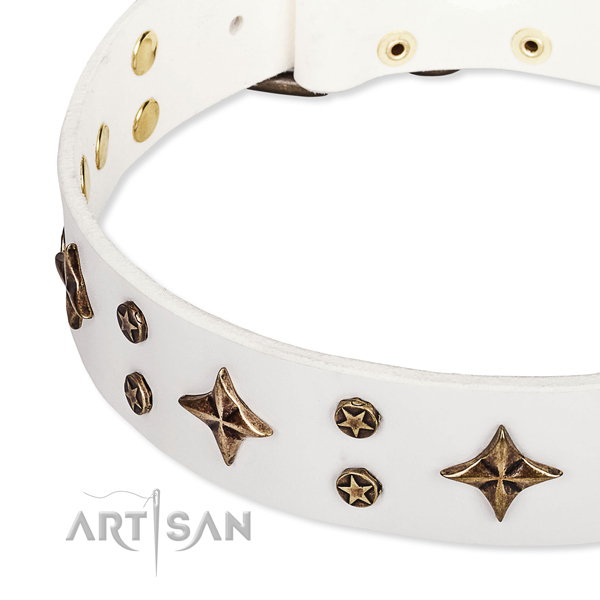Full grain natural leather dog collar with top notch decorations