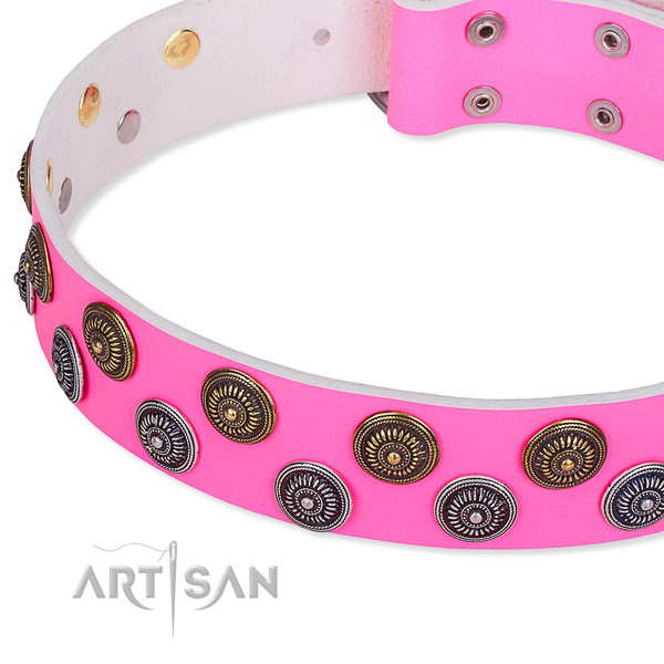 Full grain leather dog collar with unusual decorations