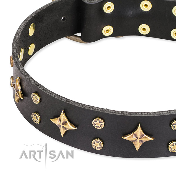 Full grain leather dog collar with extraordinary embellishments
